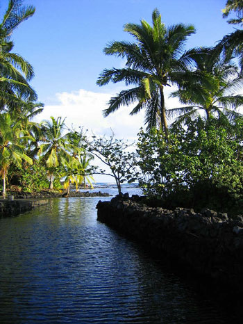 Hawaii Big Island vacation rental Kapoho turtle ponds